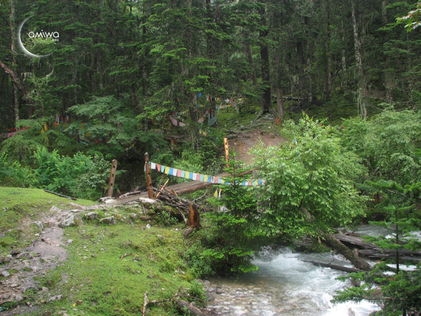 Au dessus des pâturage de Yongzhi, troisième jour de trek itinérant autour du Kawa Karpo.